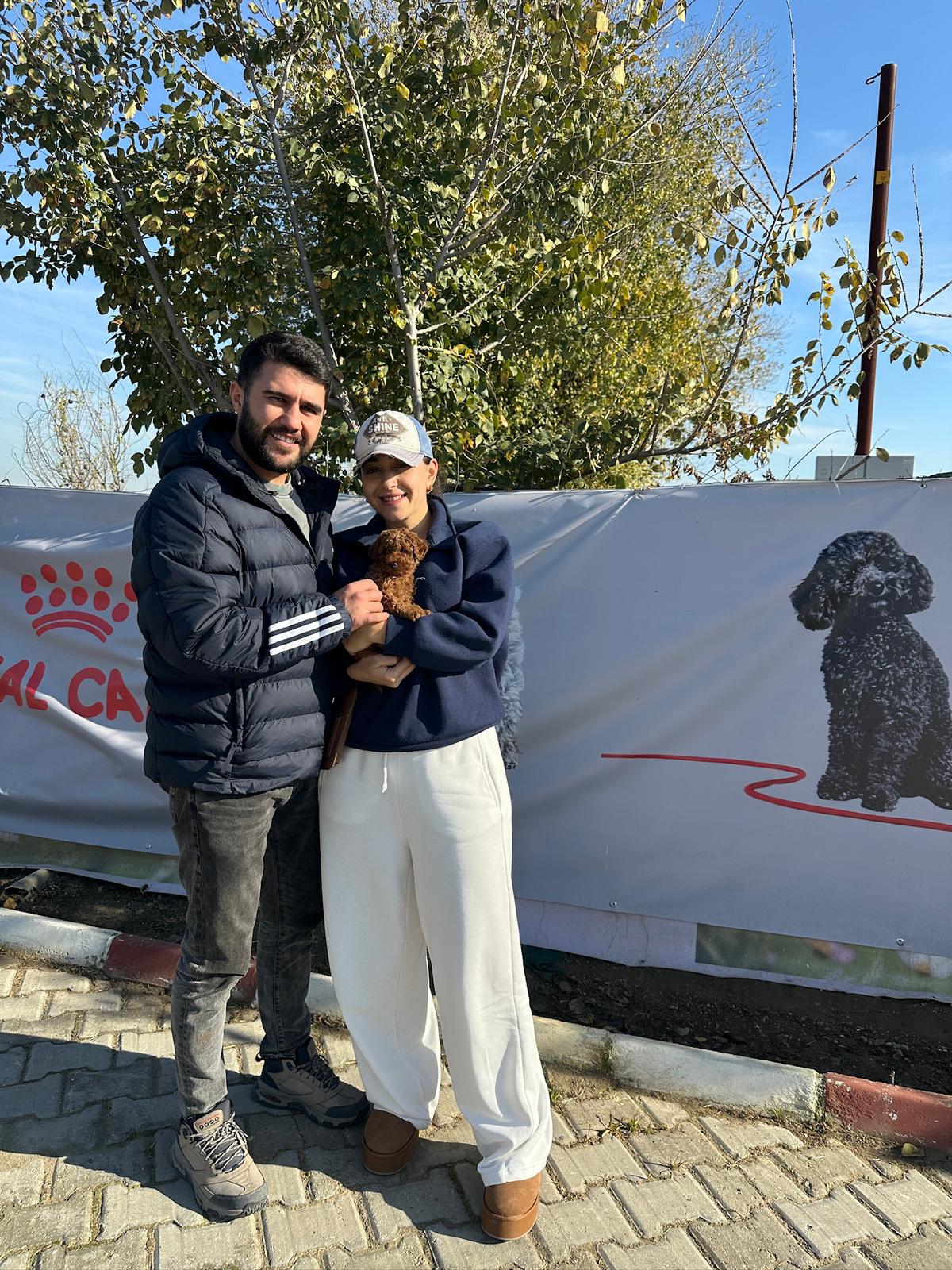 Yavrumuzu SAhiplendirdik, toypoodle yavrumuzu yeni sahiplerine teslim ettik
