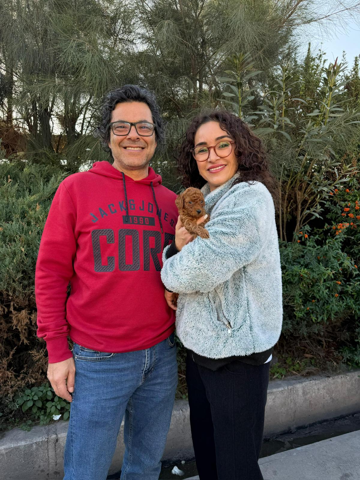 Toypoodle yavrumuzu ailesine kavuşturduk, Yeni aileysiyle görsel