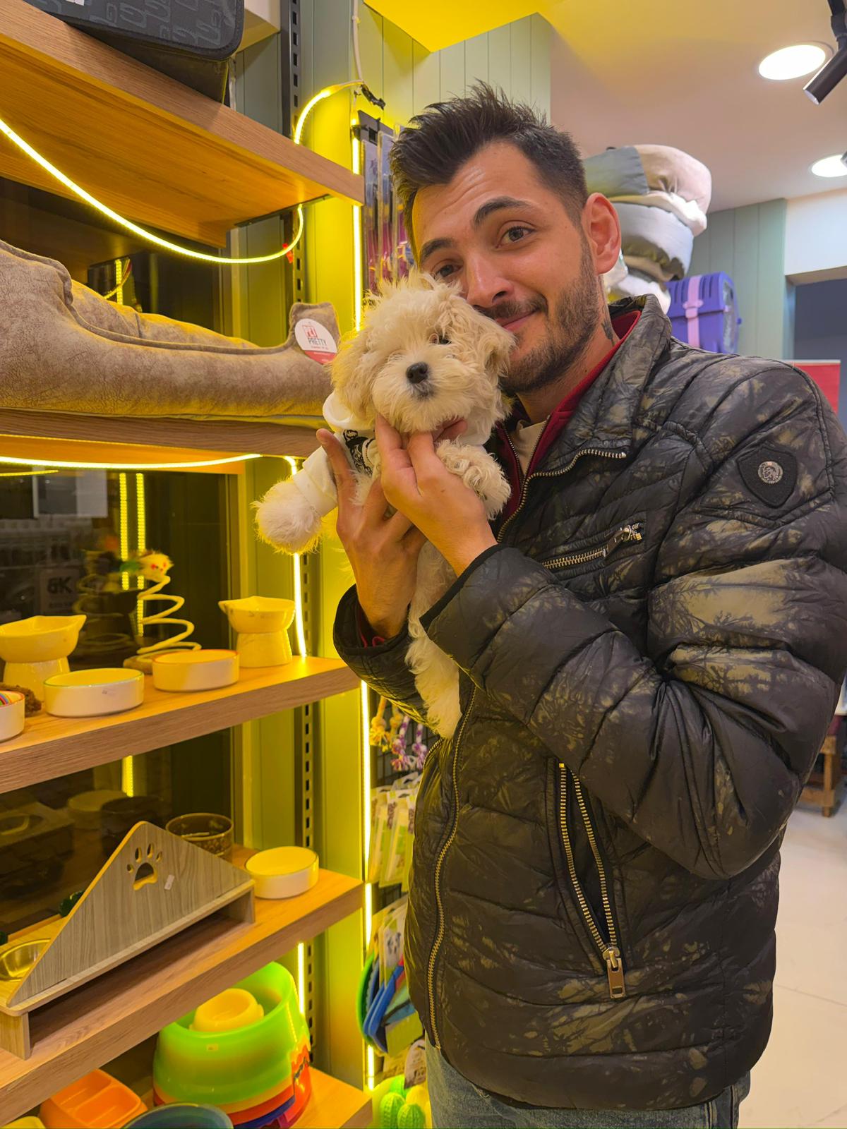Toypoodle yavrunmuzu sahiplendirdik. yani ailesiyel görseli, toypoodle türkiye
