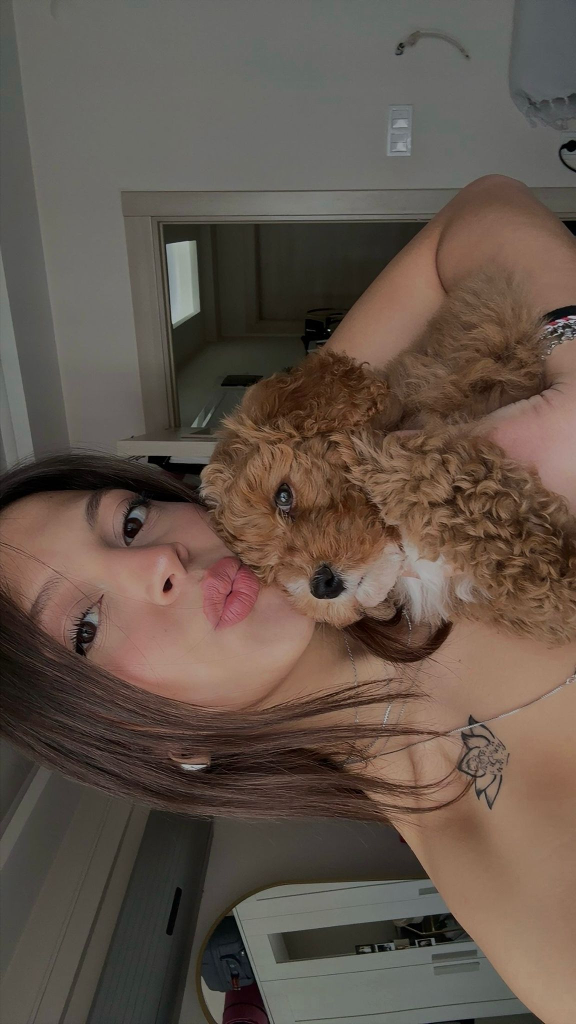 Toypoodle türkiye bir yavrumuzu daha ailesine kavuşturdu
